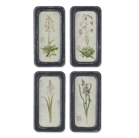 Black Framed Botanical Prints - 4 Styles