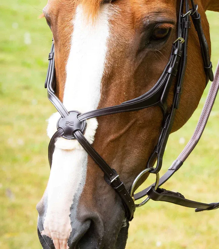 Bridle Parts - Mexican Grackle Noseband (PEI)