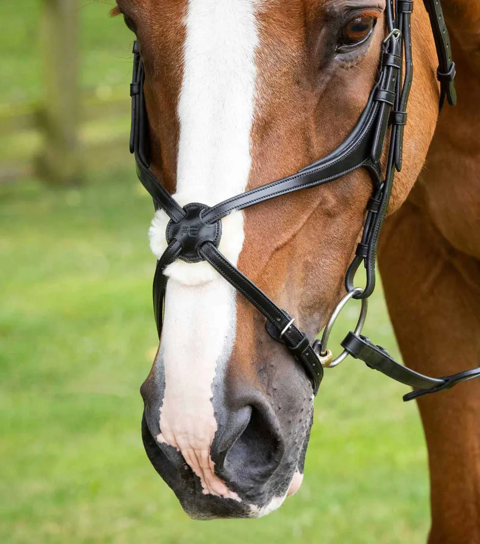 Bridle Parts - Mexican Grackle Noseband (PEI)