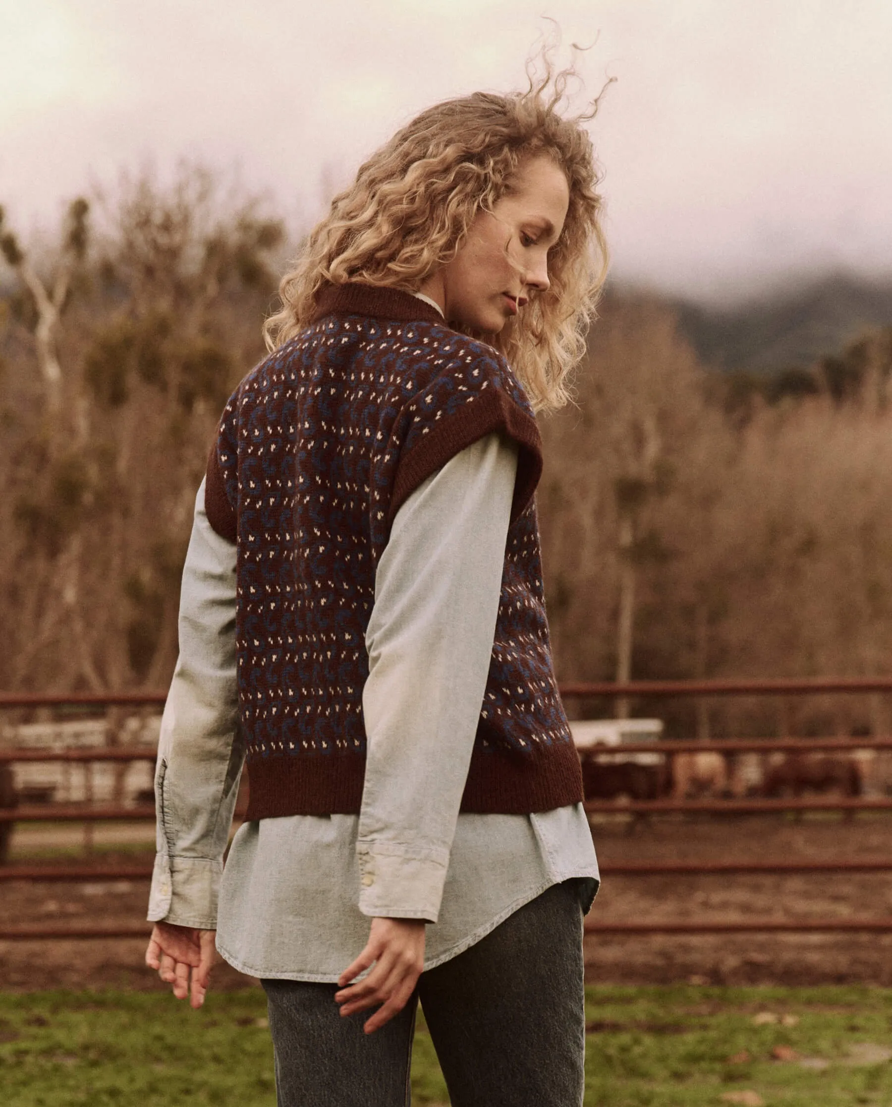 The Great Sweater Vest in Driftwood Paisley