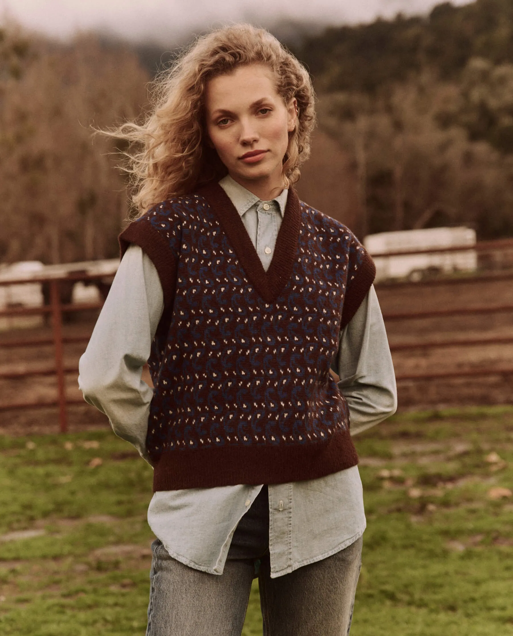 The Great Sweater Vest in Driftwood Paisley